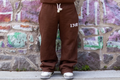 The Voice of 1948 Pants — Brown