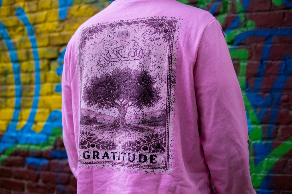 Gratitude Long sleeve - Pink