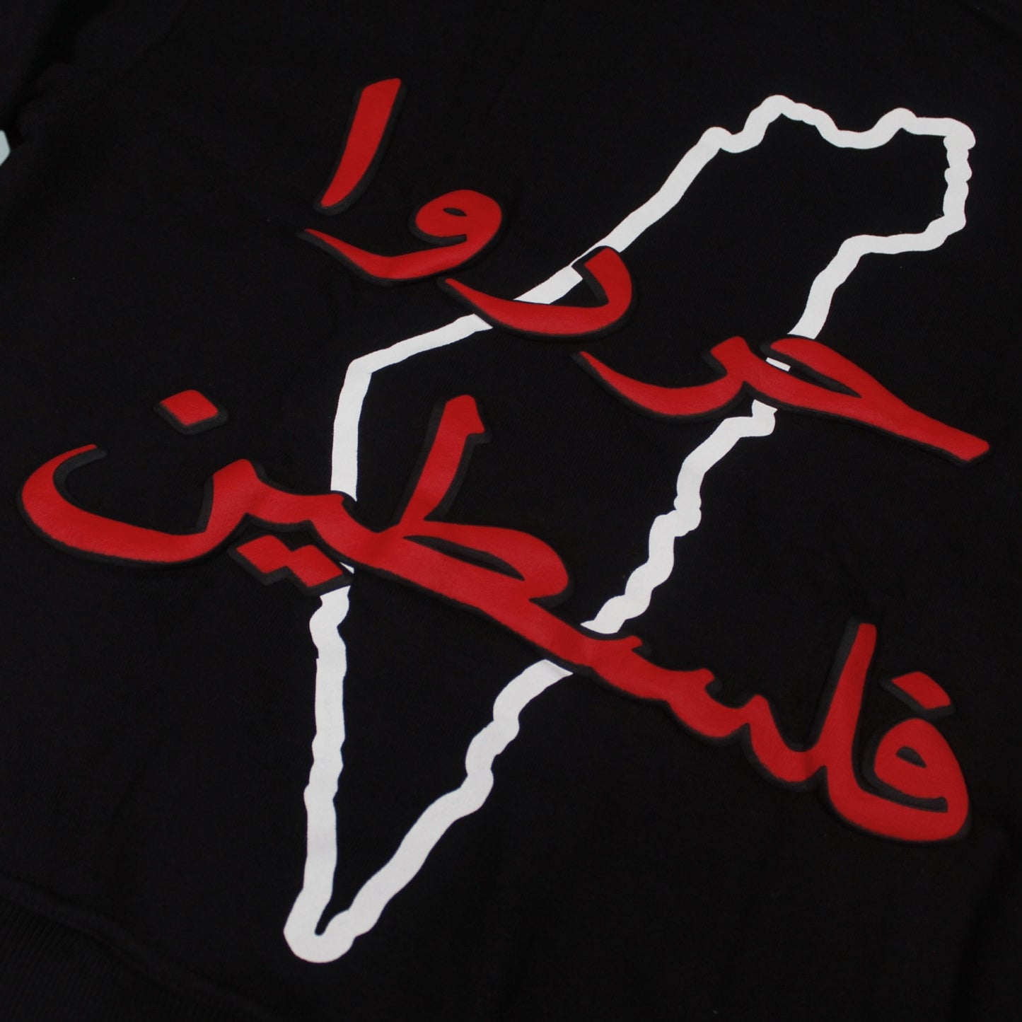 The Voice of 1948 Hoodie - Black