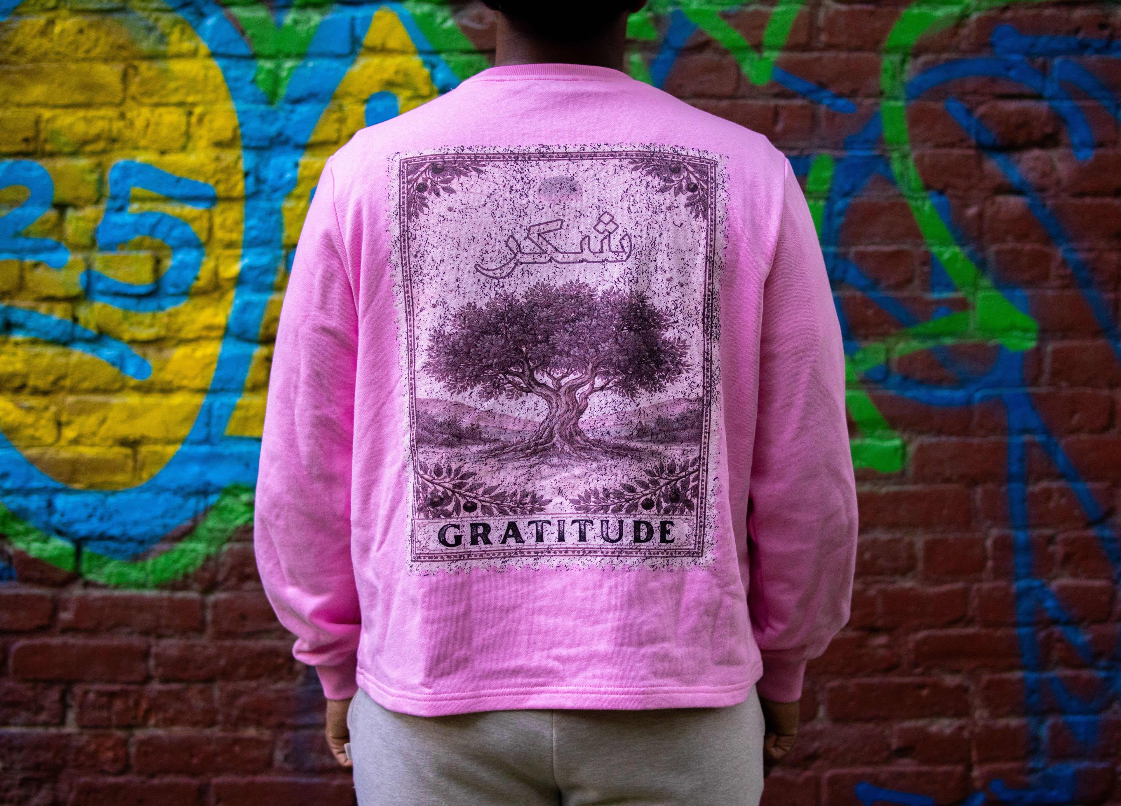 Gratitude Long sleeve - Pink