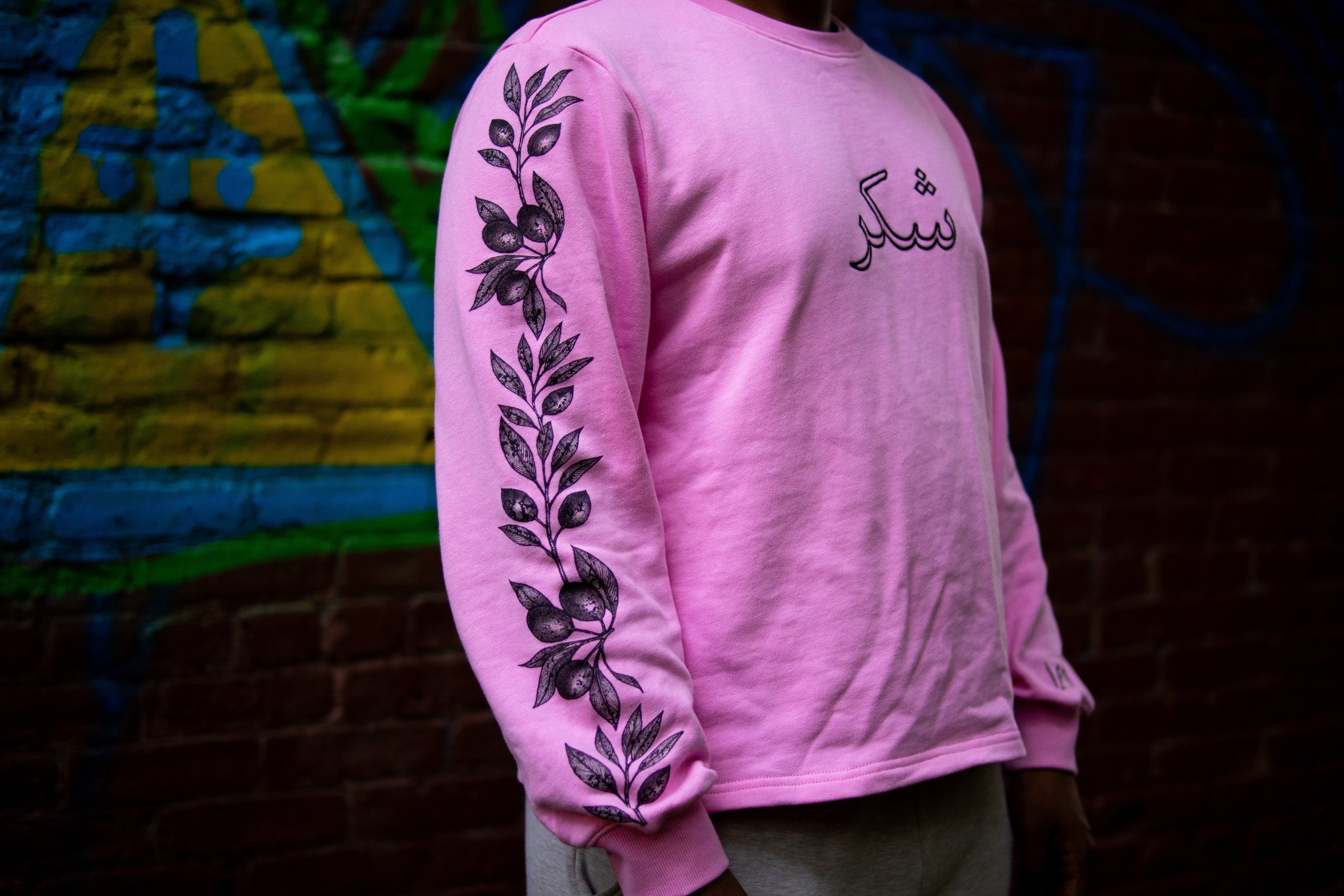 Gratitude Long sleeve - Pink